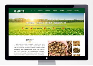 石家庄专业PHP开发与网站建设服务全攻略