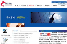 北京网站建设 选择龙鼎网络，打造高端数字化品牌形象